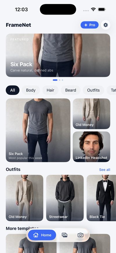 FrameNet home screen with style catalog